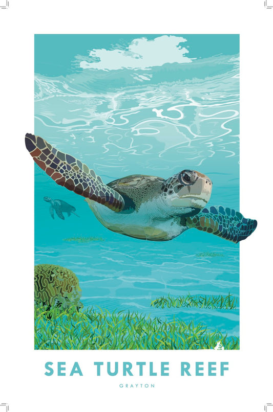 Sea Turtle Reef